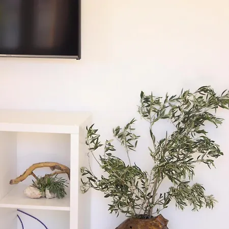 Vesna Ii Apartment